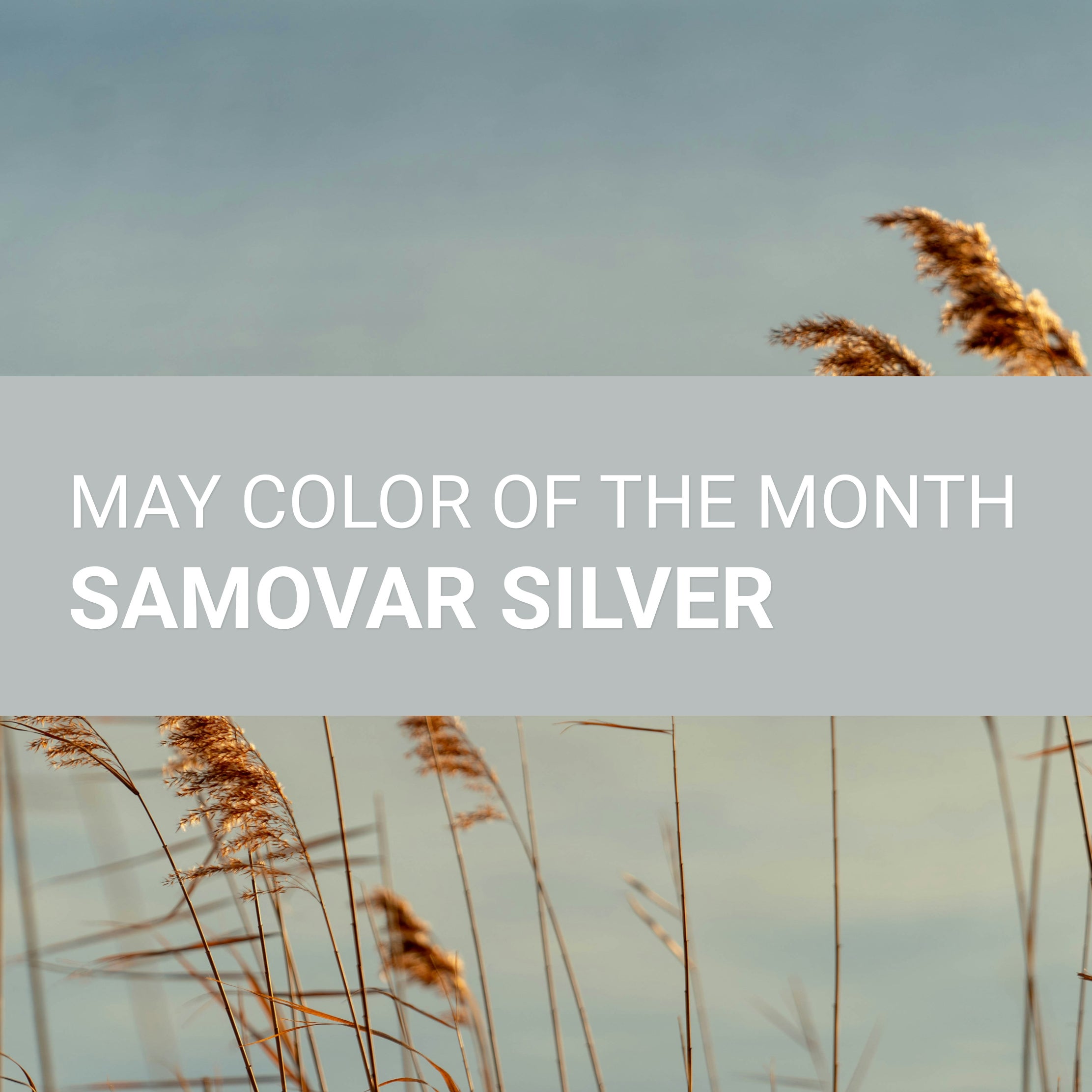 Ottawa Painters WOW 1 DAY PAINTING